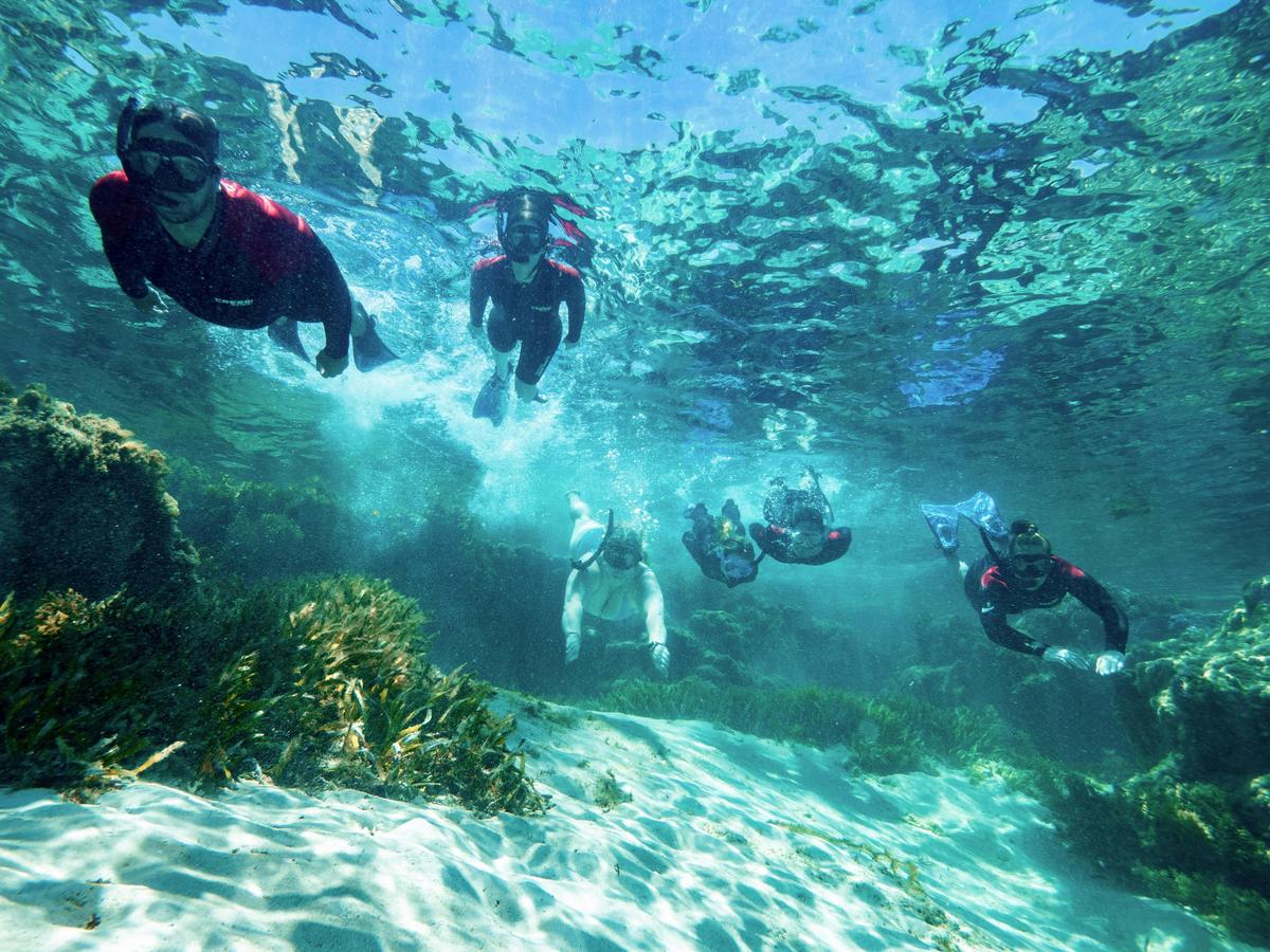 Rottnest Snorkel