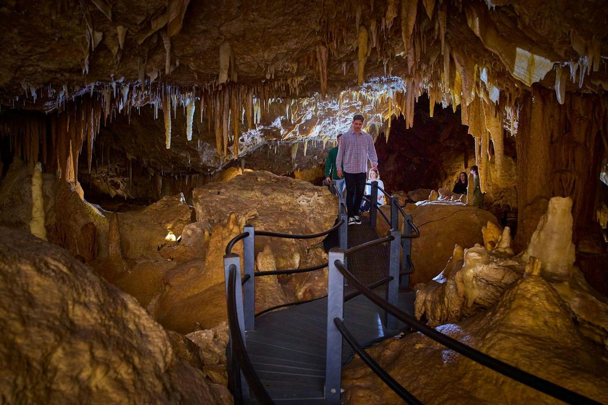 See majestic stalactites, stalagmites, helictites, and beautifully coloured shawls.