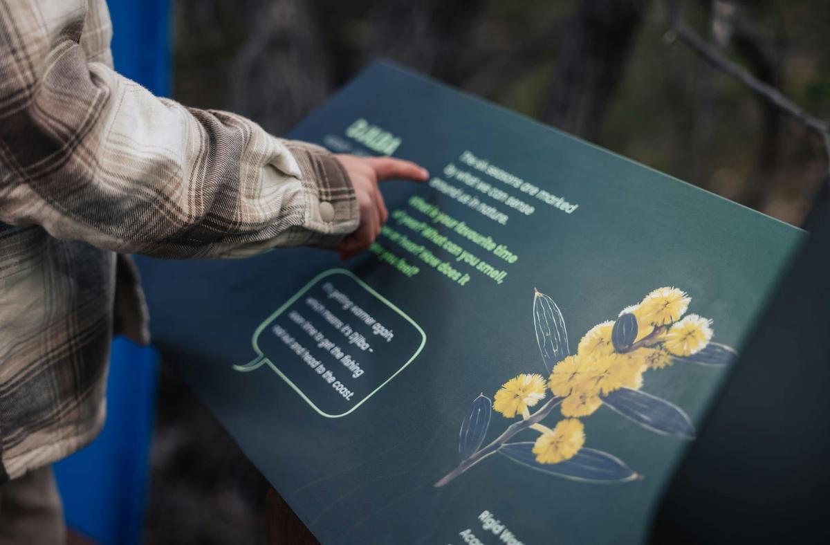 Learn about the cultural connections to the land, its flora & fauna, and the formation of the caves.