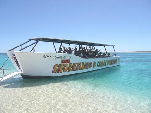 Coral Viewing Cruise