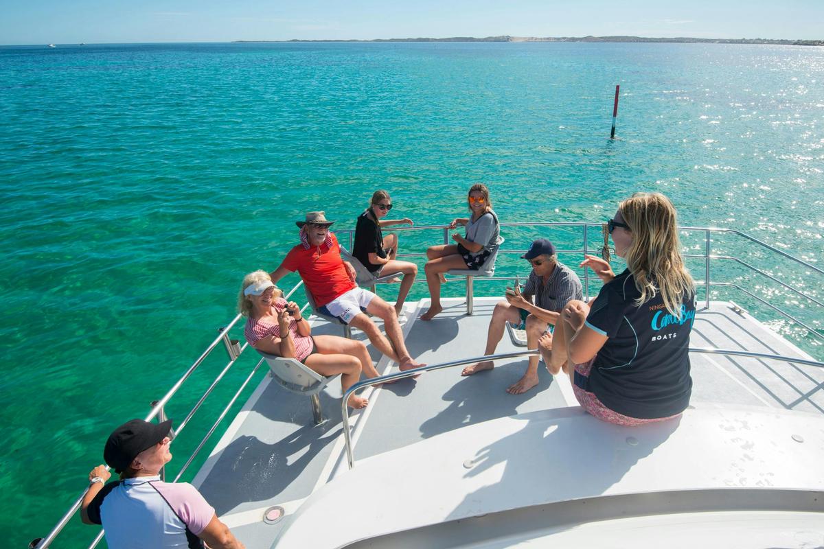 Whale Watching Tour