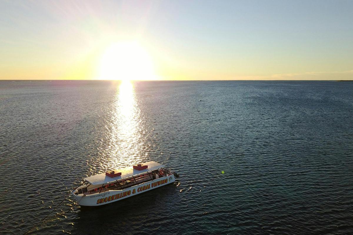 Coral Viewing and Snorkel Cruise