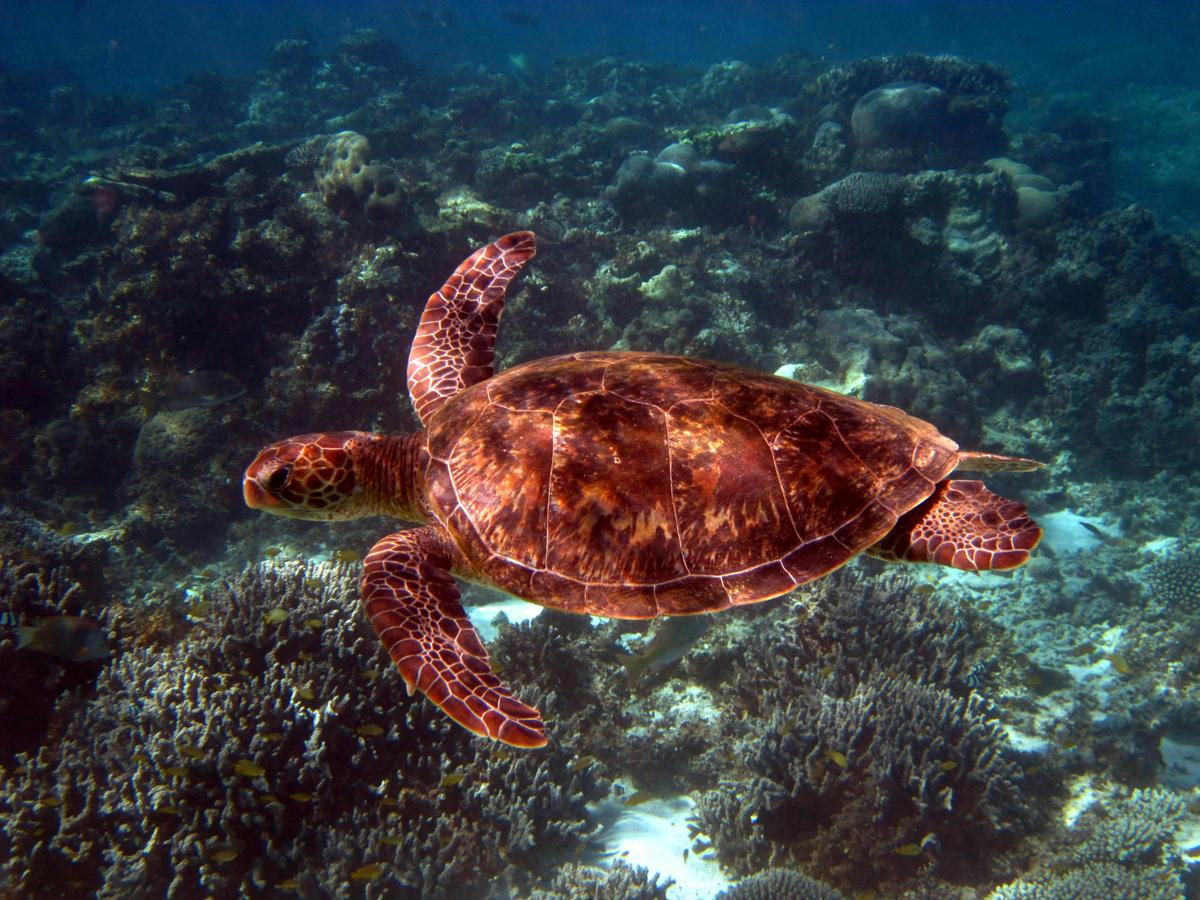 Ningaloo Nature Tour