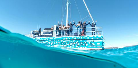 Sunset Sail on a Luxury Sailing Catamaran