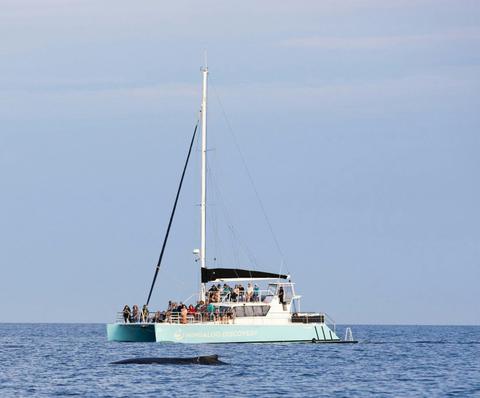 Sunset Sail on a Luxury Sailing Catamaran