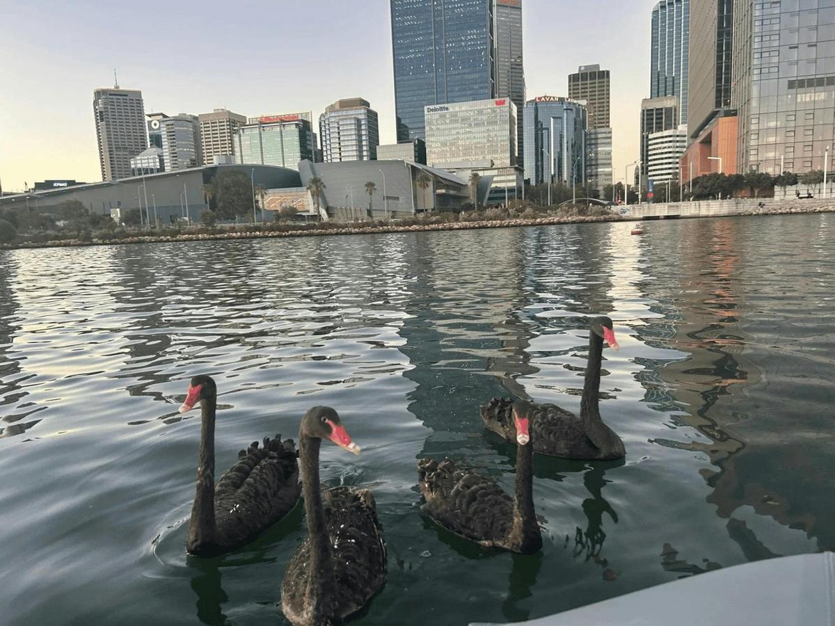 Golden Hour: City Walk & Sunset Cruise
