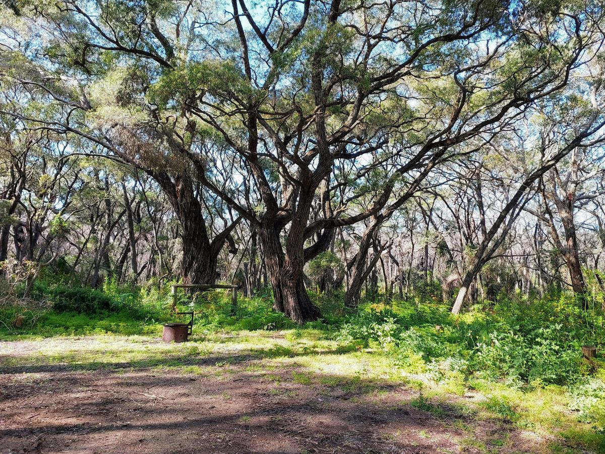 Point Road Campground