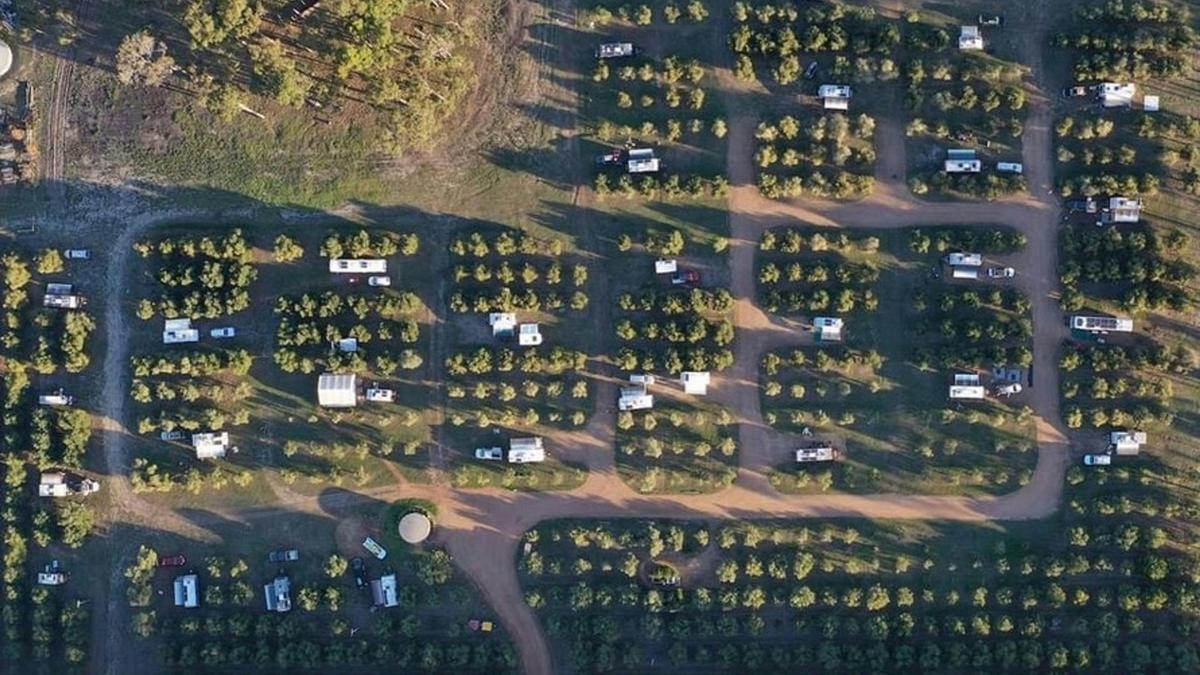 Olive Hill Farm RV Campground Margaret River