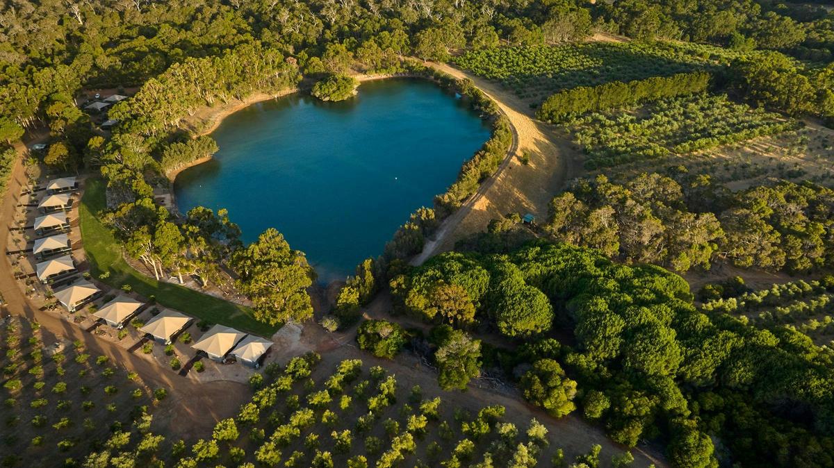 Olio Bello Organic Olive Groves + Lakeside Glamping - Margaret River