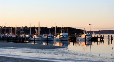 Oyster Harbour