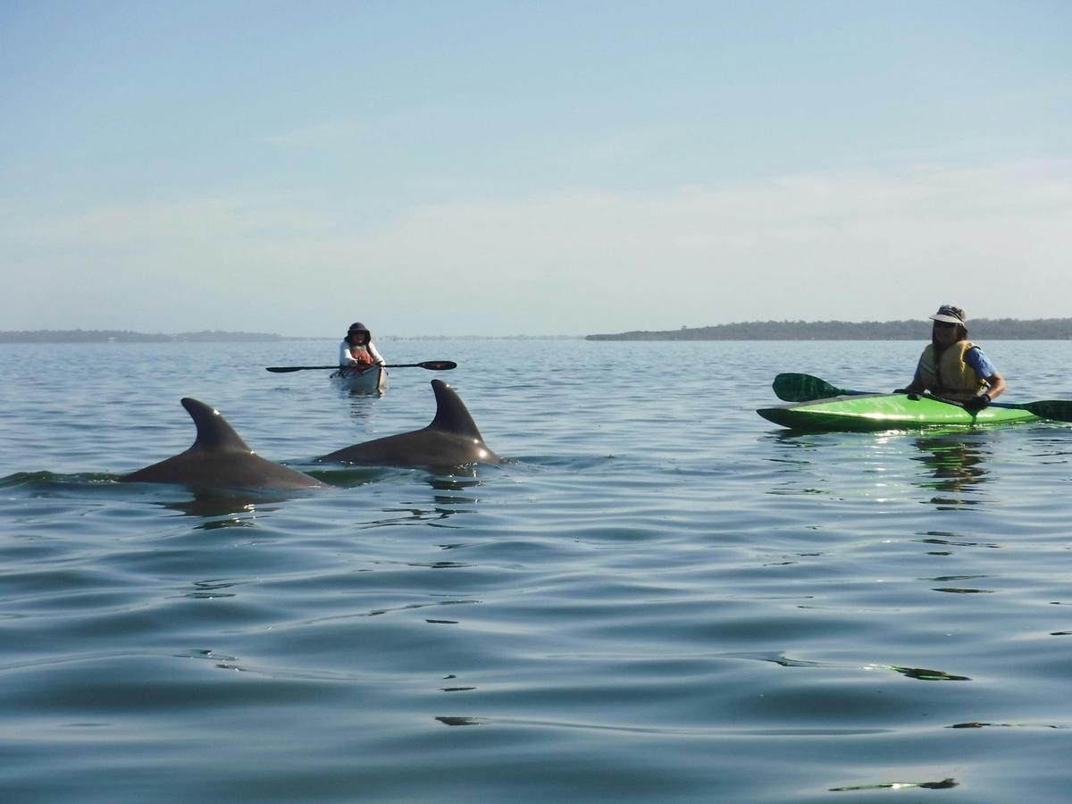 Paddling in the Peel Inlet in Mandurah