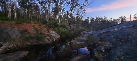 Darling Range Twilight Wander