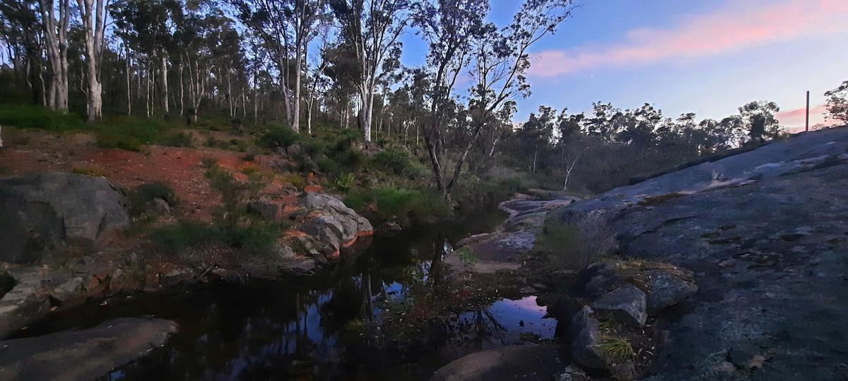 Darling Range Twilight Wander