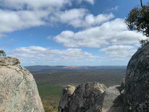 Mt Cooke Hiking Experience