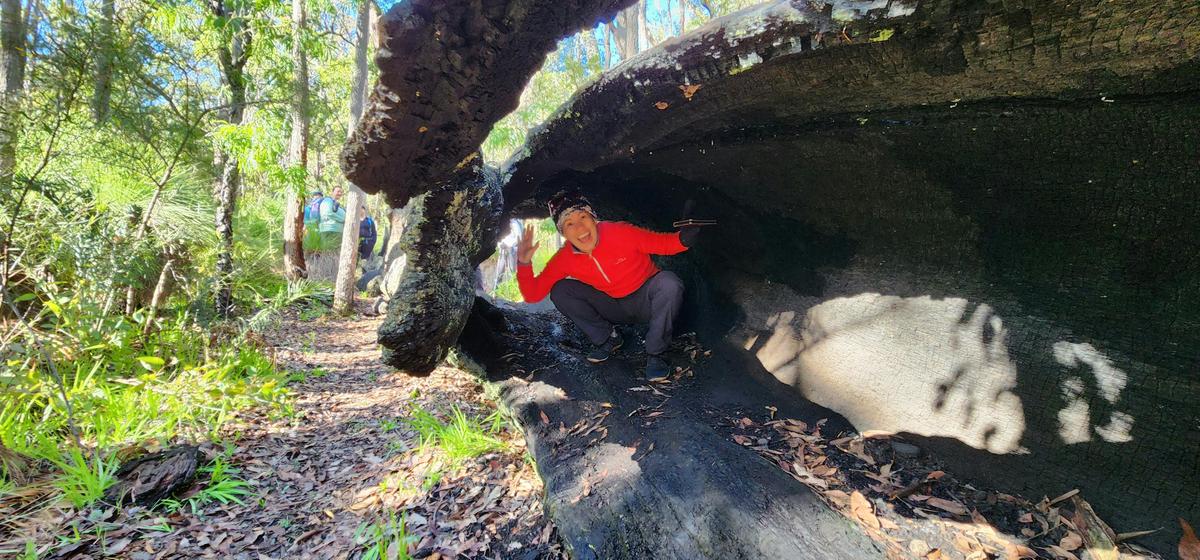 Adventure & nature immersion
