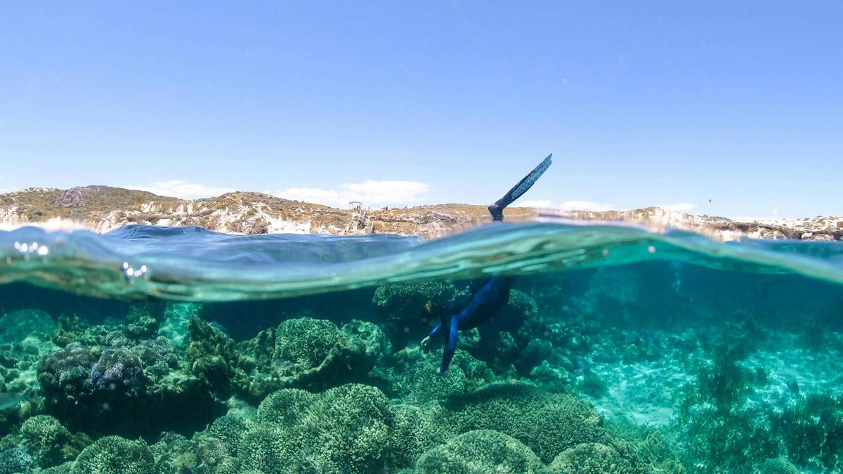snorkeling dunsborough