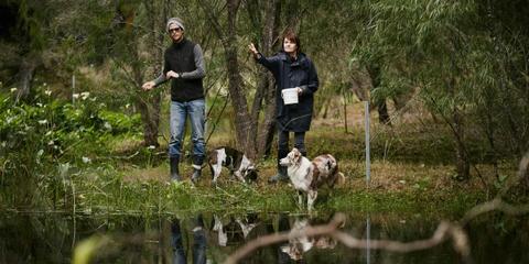 Paddock to Plate Dining Trail
