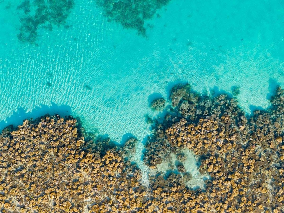 14 Day Pilbara & West Coast Expedition