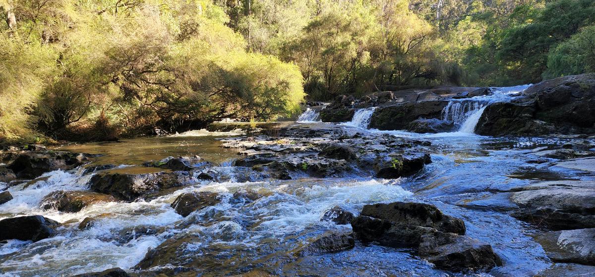 Southern Forests Weekender Experience