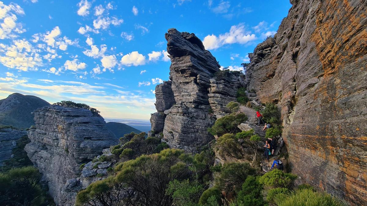 Mt Talyuberlup - Stirling Range