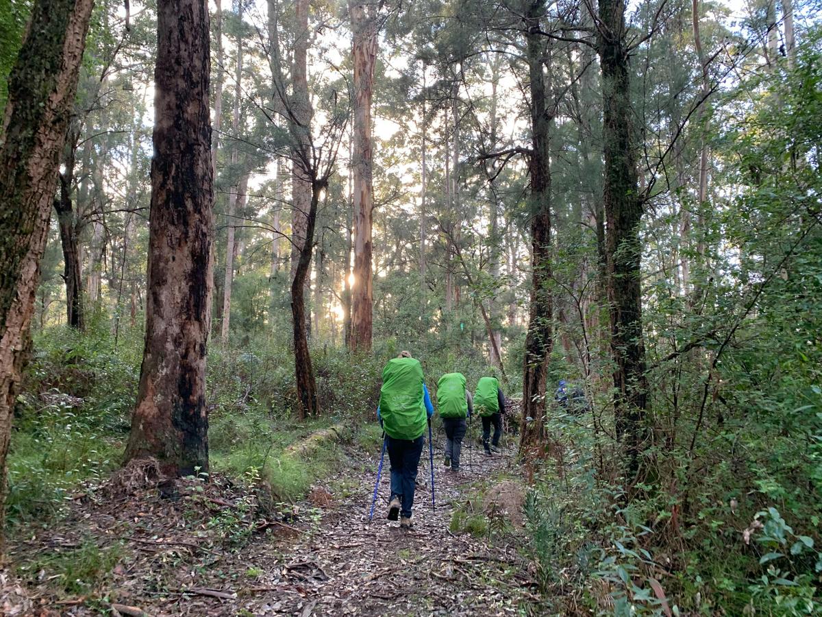 Bibbulmun Pemberton – Northcliffe Pack & Camp 3 Day Hike