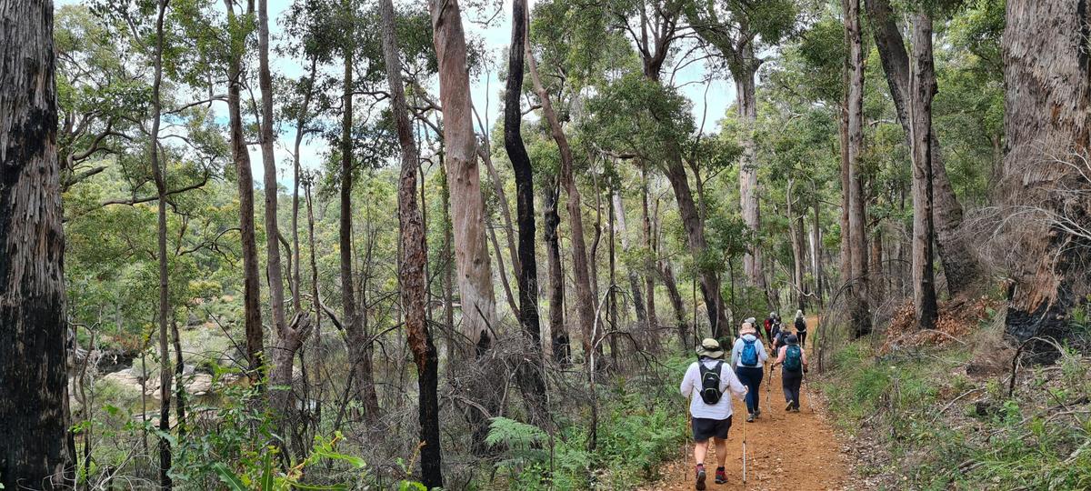 Collie Hike, Wine & Dine Experience