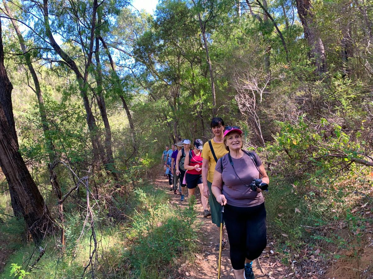 Collie Hike & Paddle Gourmet Grazing Experience