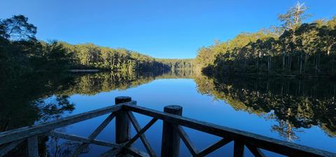 Southern Forests Weekender Experience
