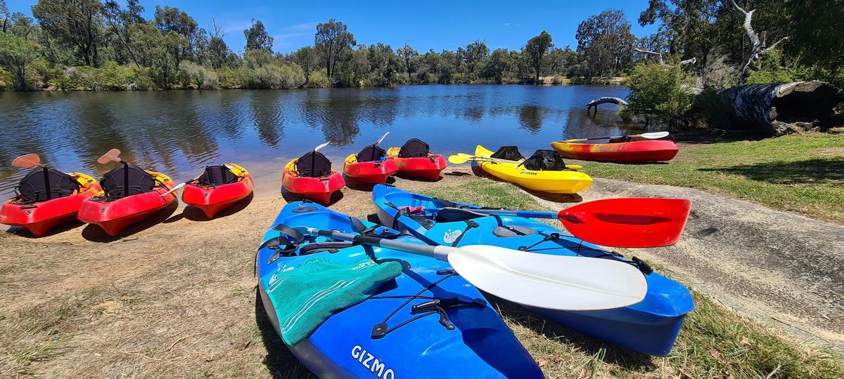Collie Hike & Paddle Gourmet Grazing Experience