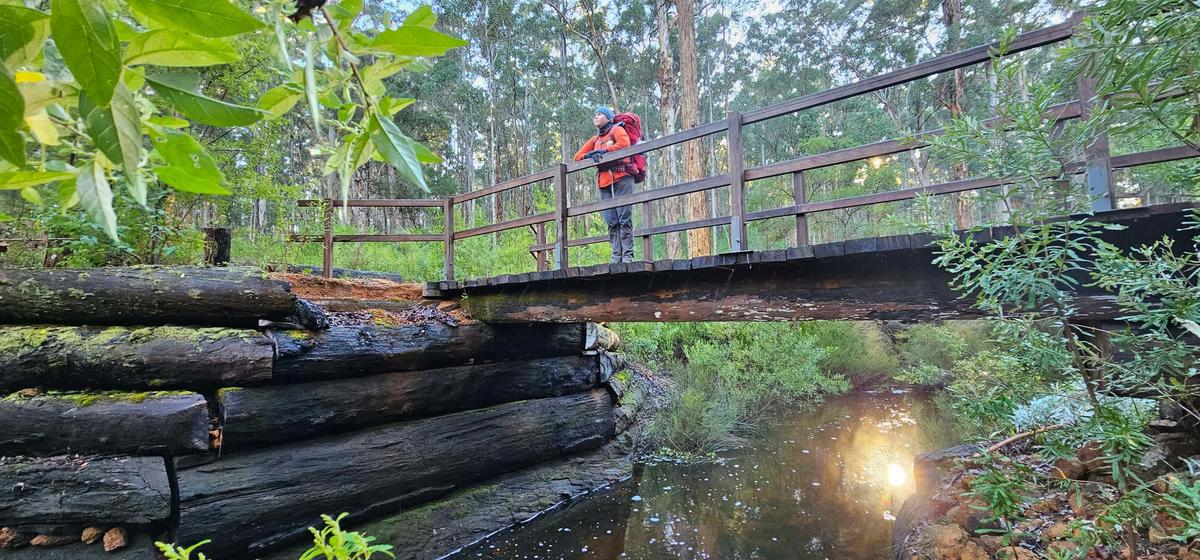 Bibbulmun Balingup – Donnelly River Pack & Camp 3 Day Hike