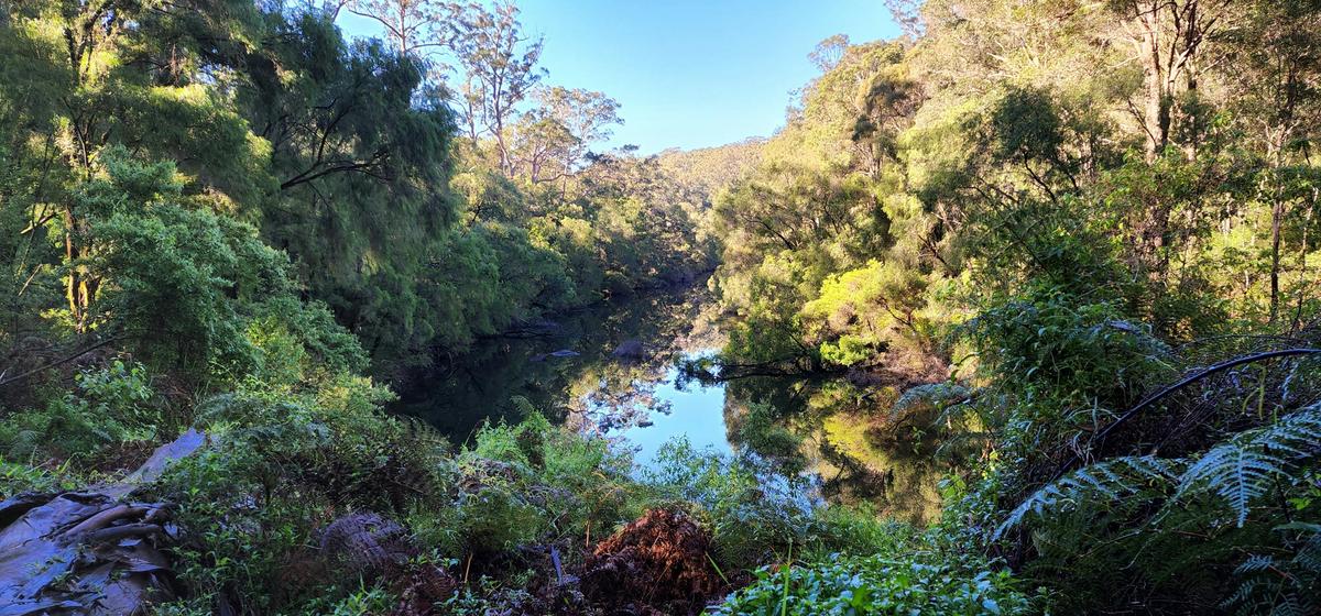 Southern Forests Weekender Experience