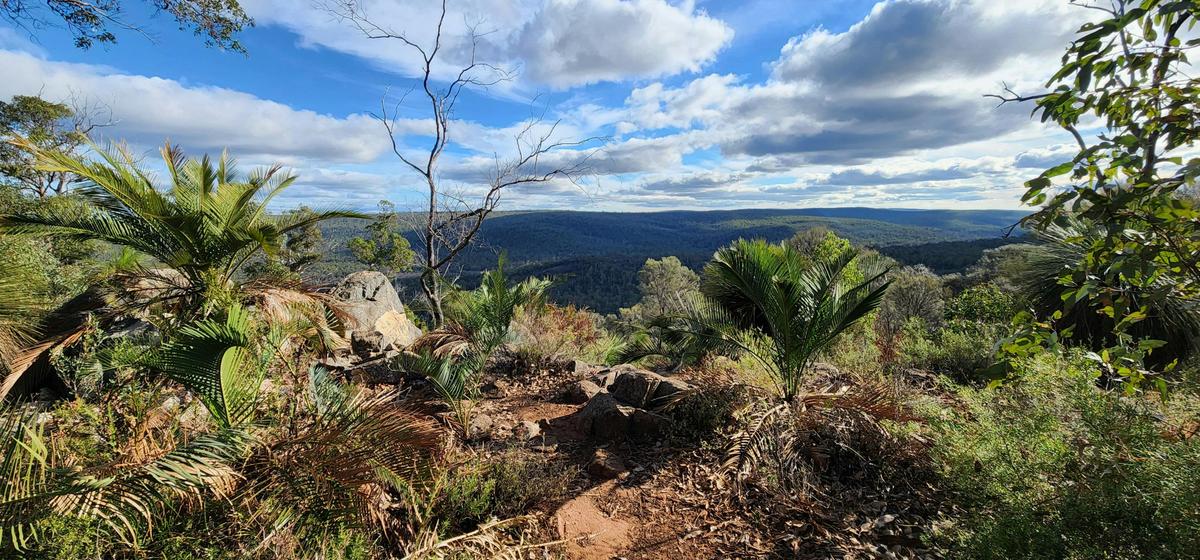 Bibbulmun Donnelly River – Pemberton Pack & Camp 5 Day Hike