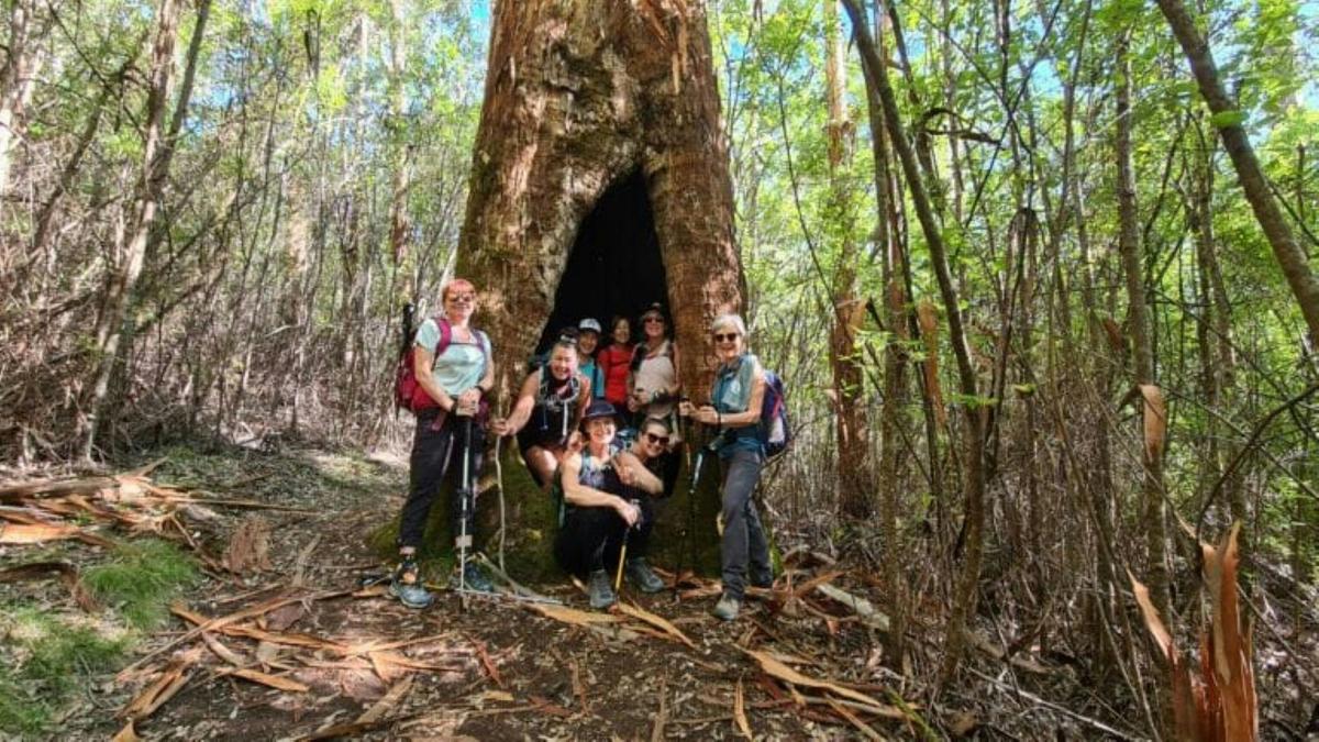 Albany Natural Wonders Weekender Experience