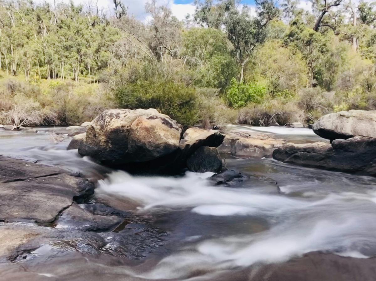 Collie Hike, Wine & Dine Experience