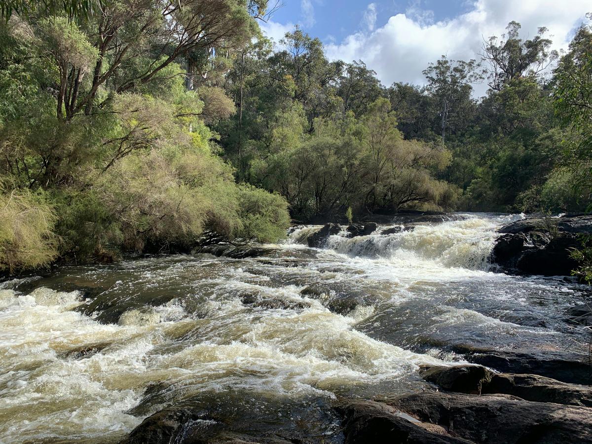 Bibbulmun Pemberton – Northcliffe Pack & Camp 3 Day Hike