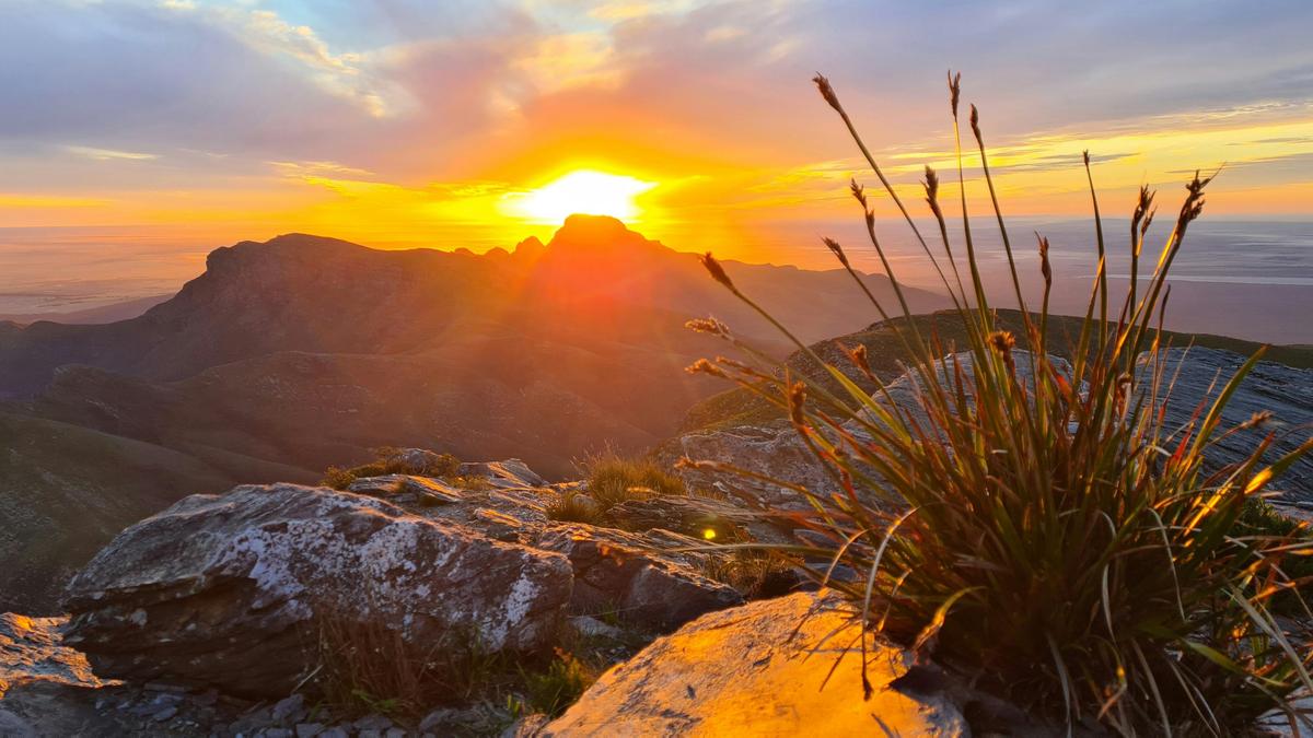 Sunrise Bluff Knoll