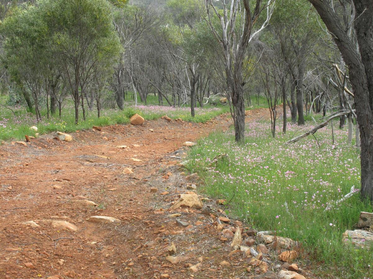 Pelham Reserve Walk Trail