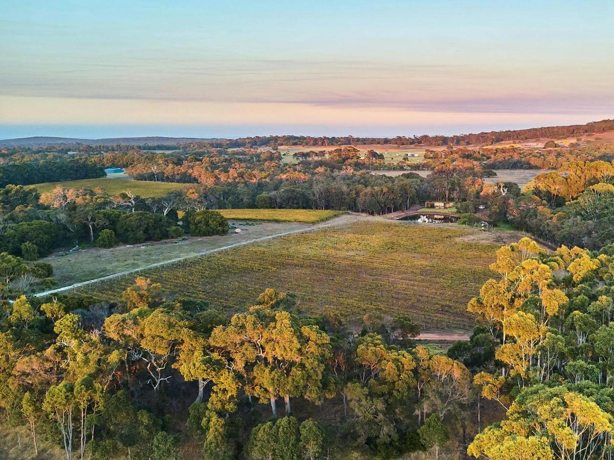 Drone image of Passel Estate property featuring vineyards, Tasting Room and ocean.