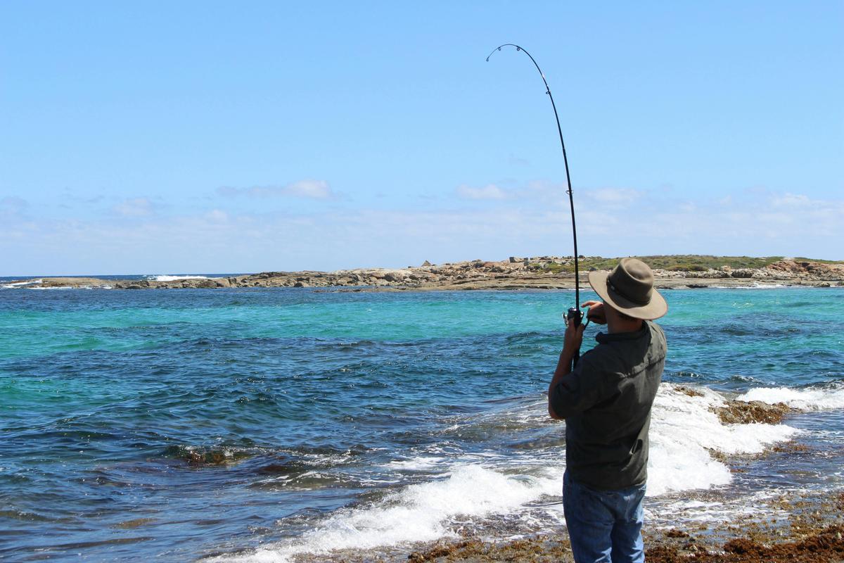 Fishing