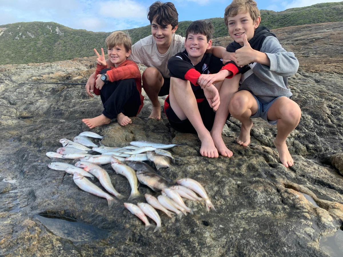 Kids catching herring at Rame Head