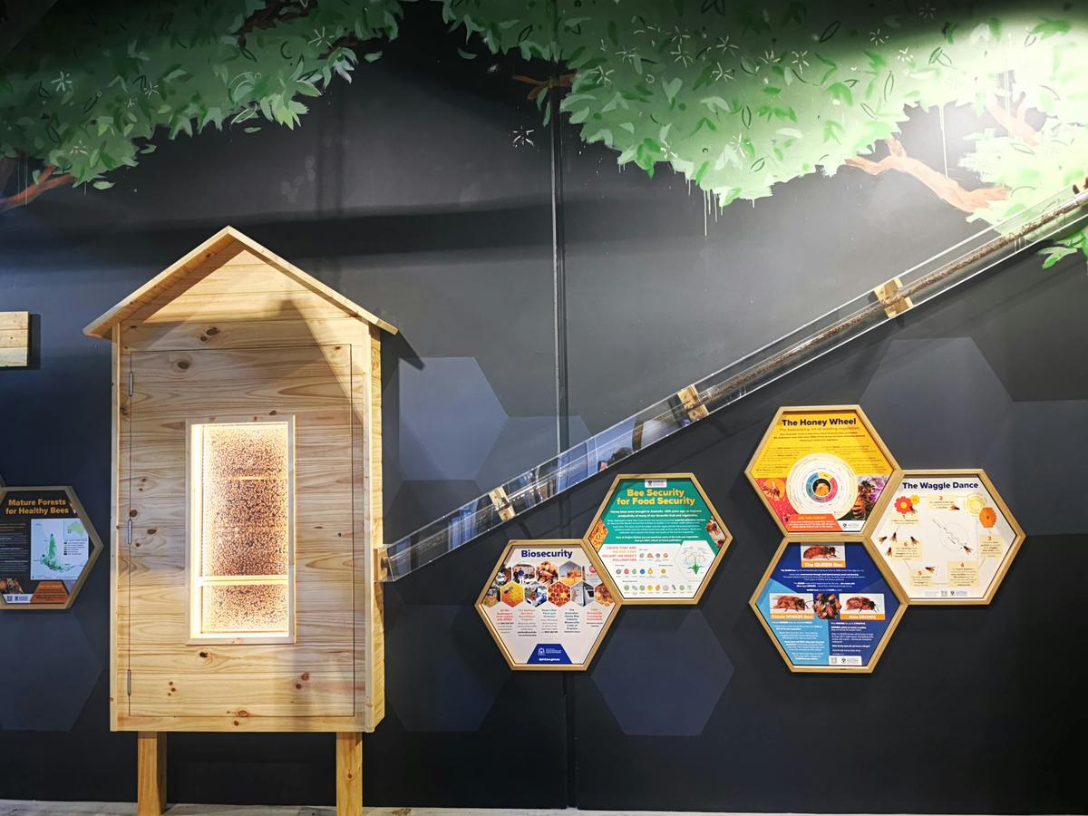 Our beehive