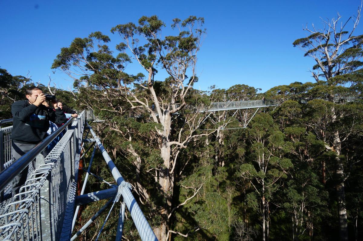 Southwest of Western Australia Tour