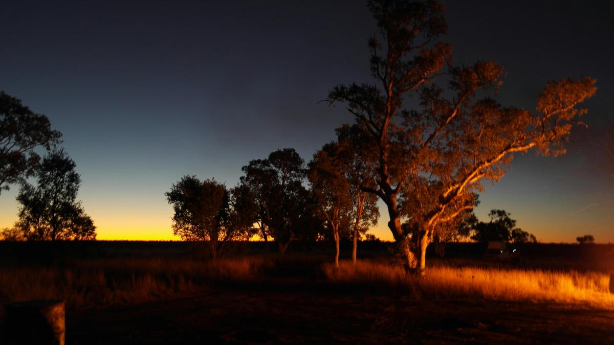 Evening mood in the bush