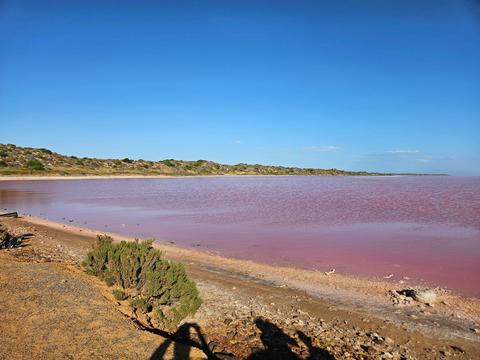 Private Pink Lake and Kalbarri 2 Day Tour from Perth