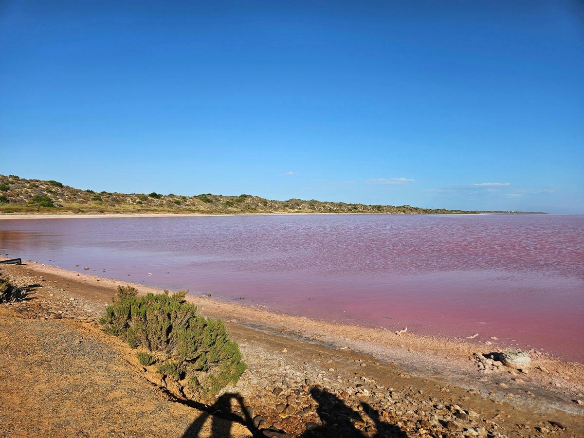 Private Pink Lake and Kalbarri 2 Day Tour from Perth