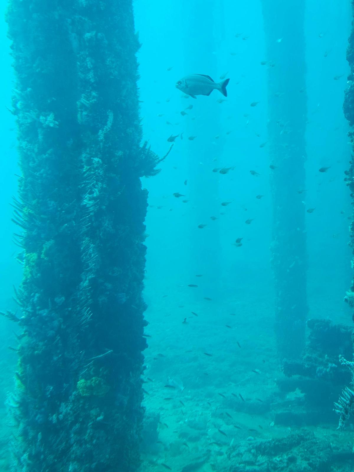 Busselton Jetty and Underwater Observatory