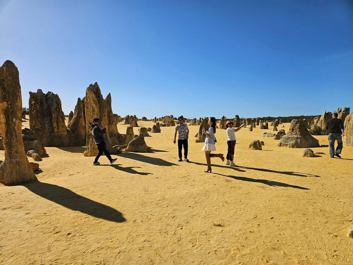 Private Pinnacles Desert Tour From Perth – Lancelin Sandboarding Day Tour