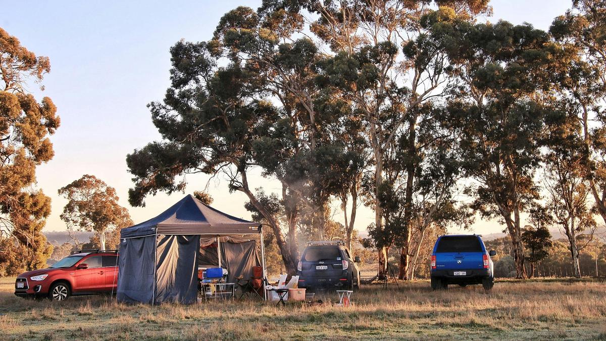 Pinegrove Camping