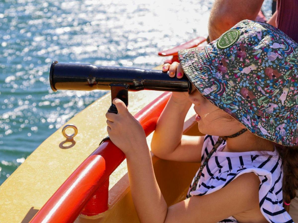 The Pirate Cruise