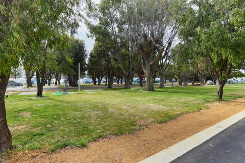 Powered Grass Site